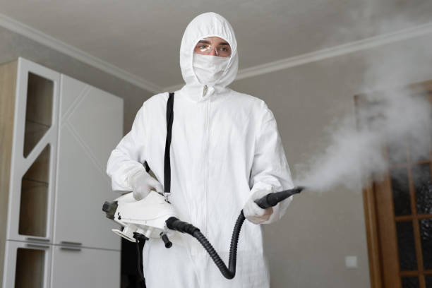 Best Mold Odor Removal Services in Commercial Point, OH